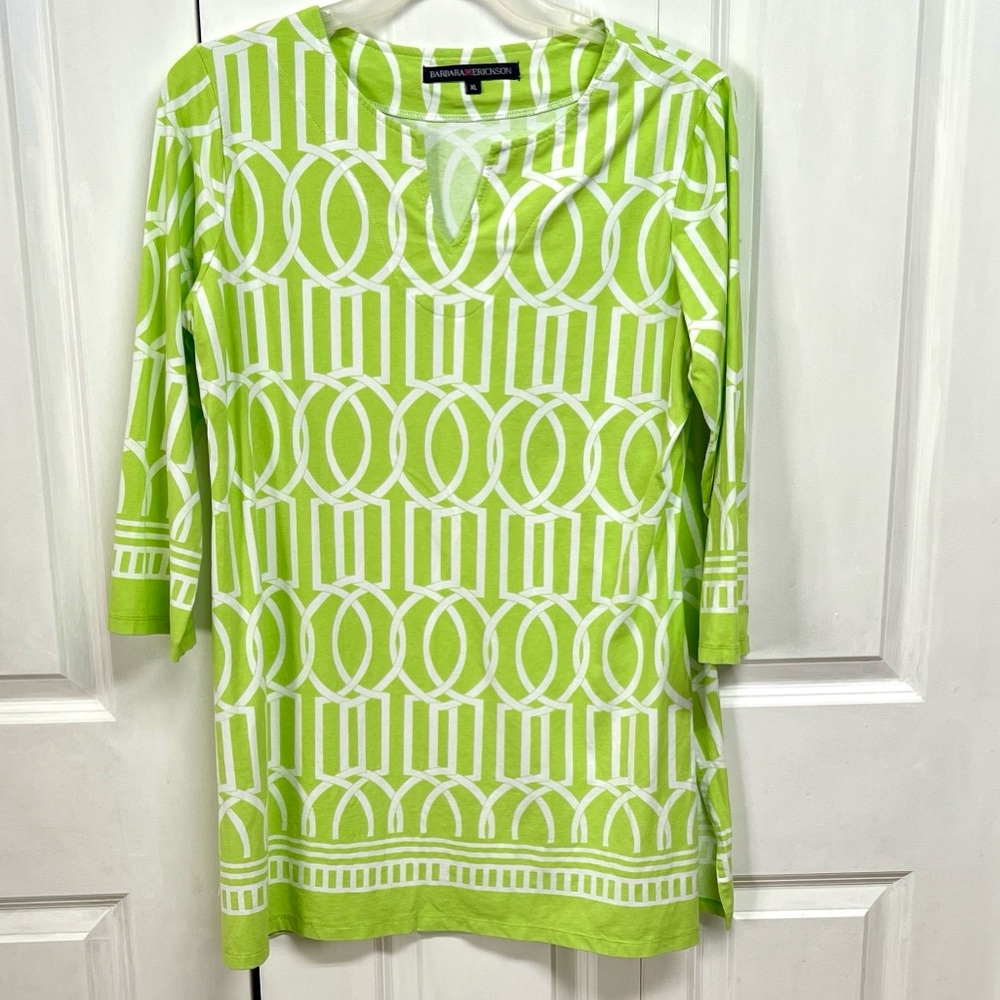 Barbara Erickson Green & White Geometric Tunic Top